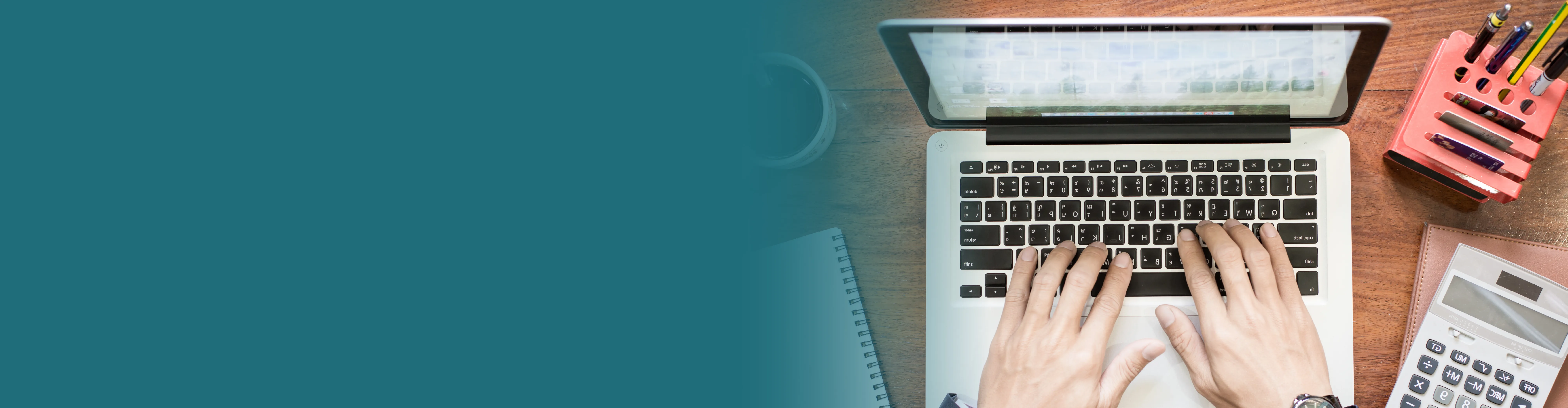 Special Voluntary Disclosure Programme (SVDP) for E-Invoice