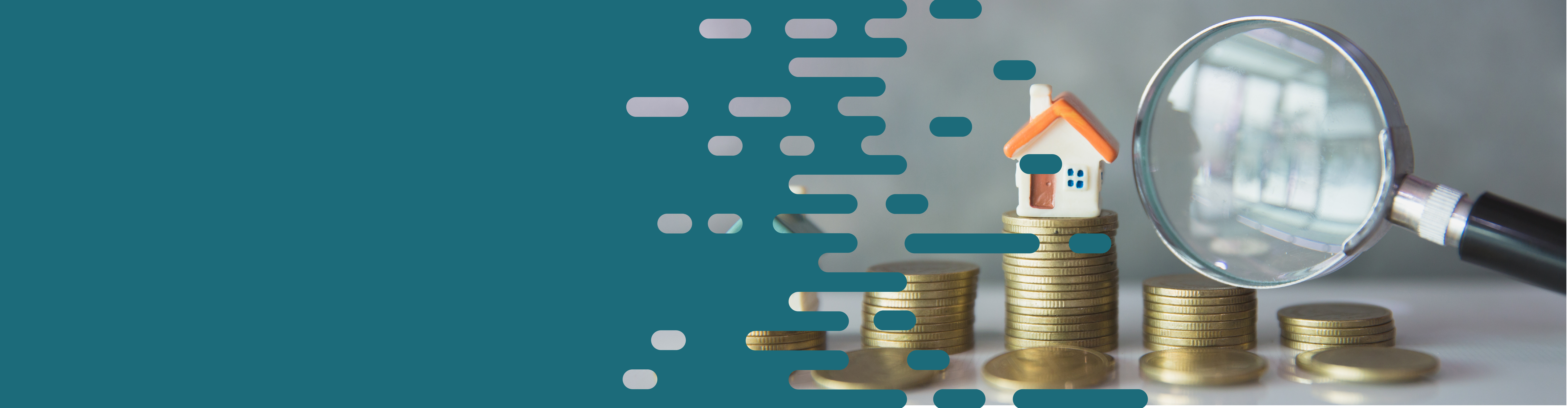 Forensic Accounting &<br>Litigation Support background